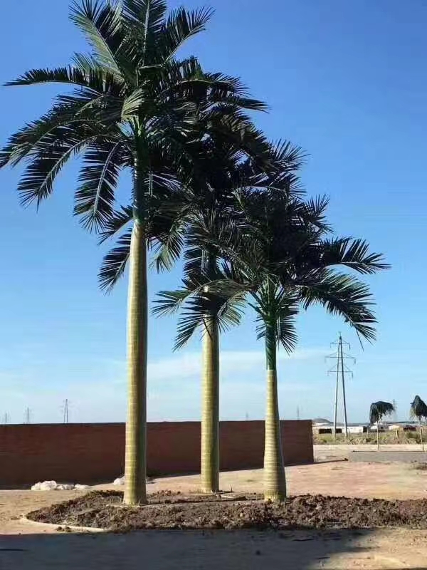 仿真椰子树