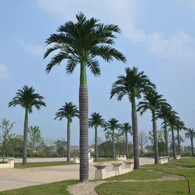 仿真大王椰2