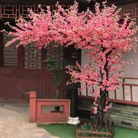 桃花树5