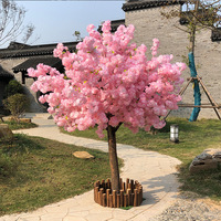 桃花树11