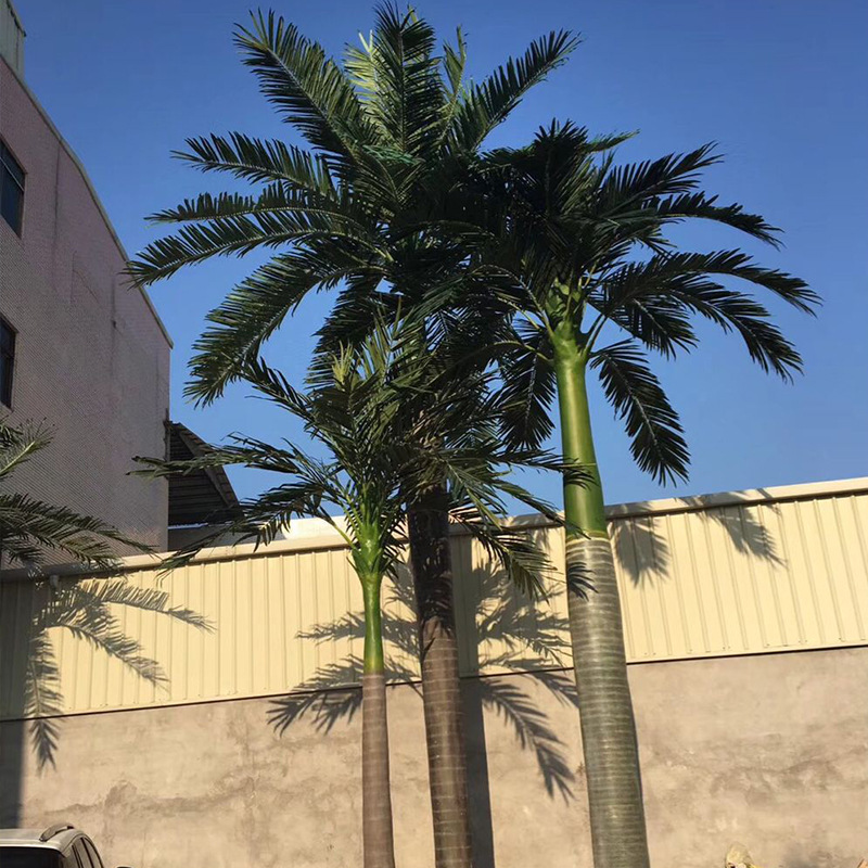 棕榈树5