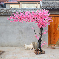 樱花树8
