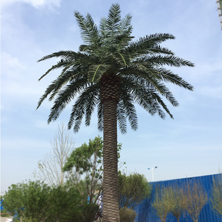 棕榈树8