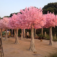 樱花树10