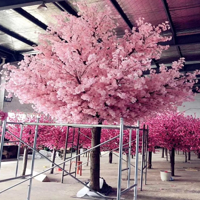 樱花树9