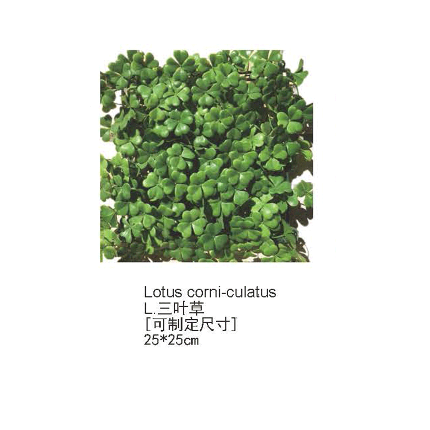 仿真草皮