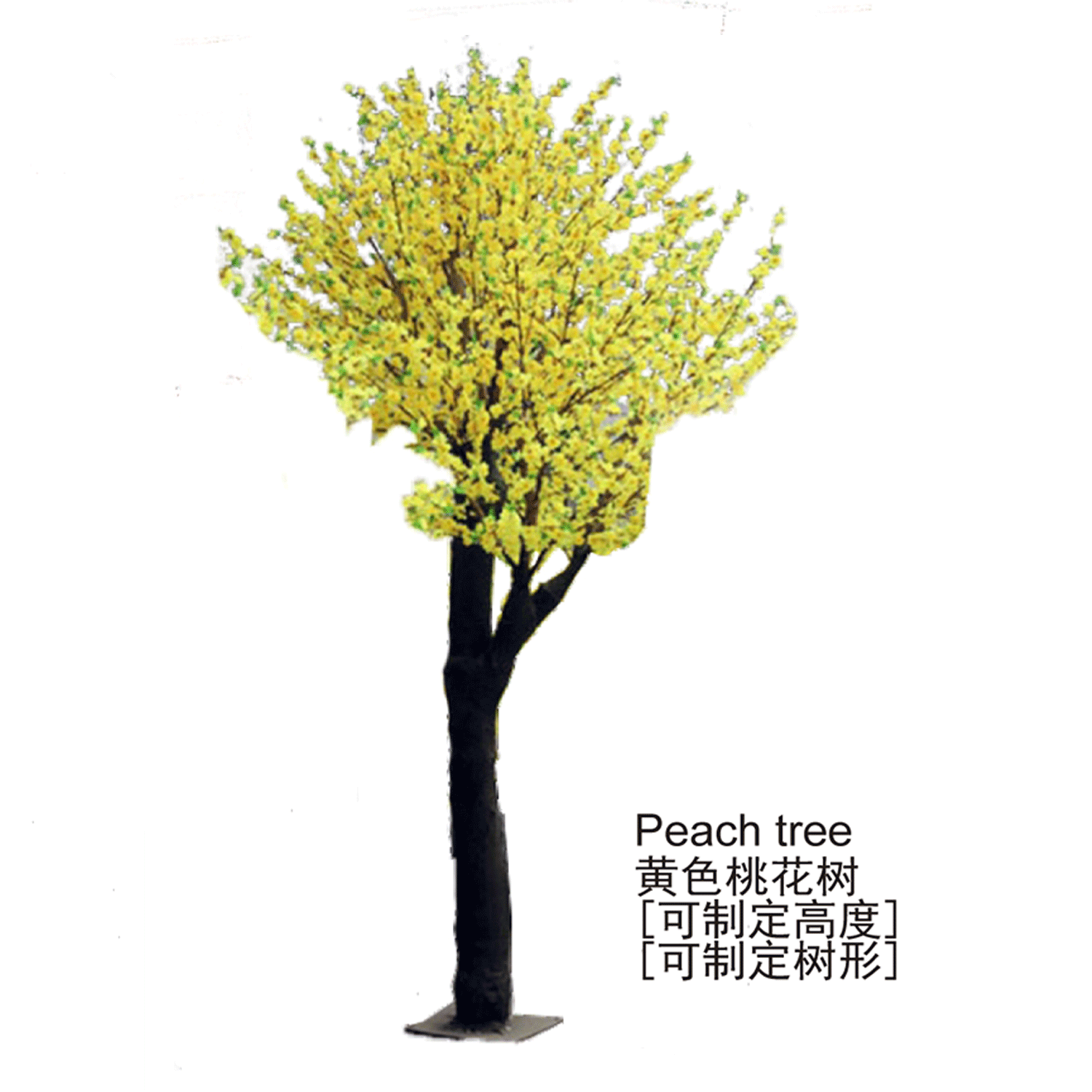 桃花树1