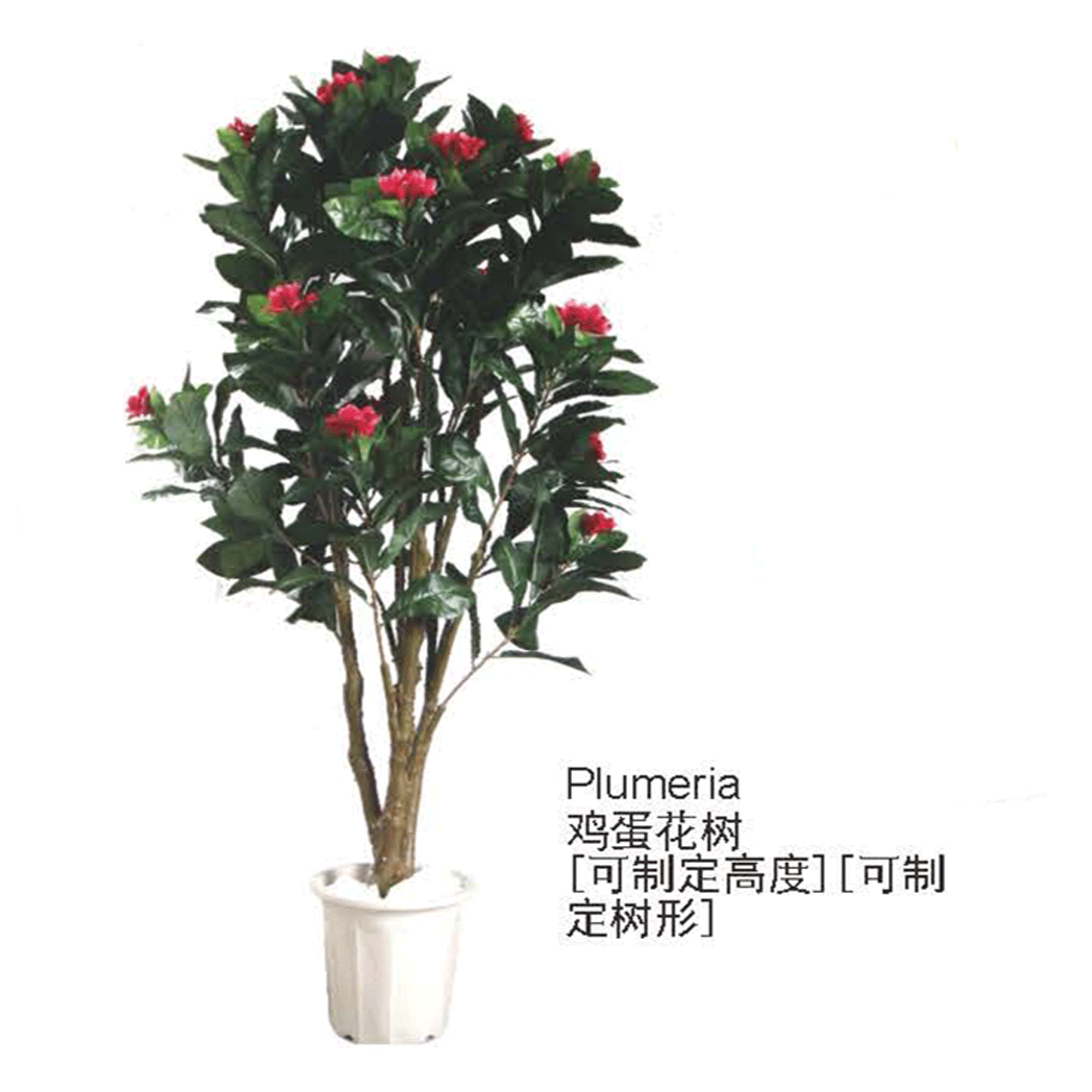 仿真绿植