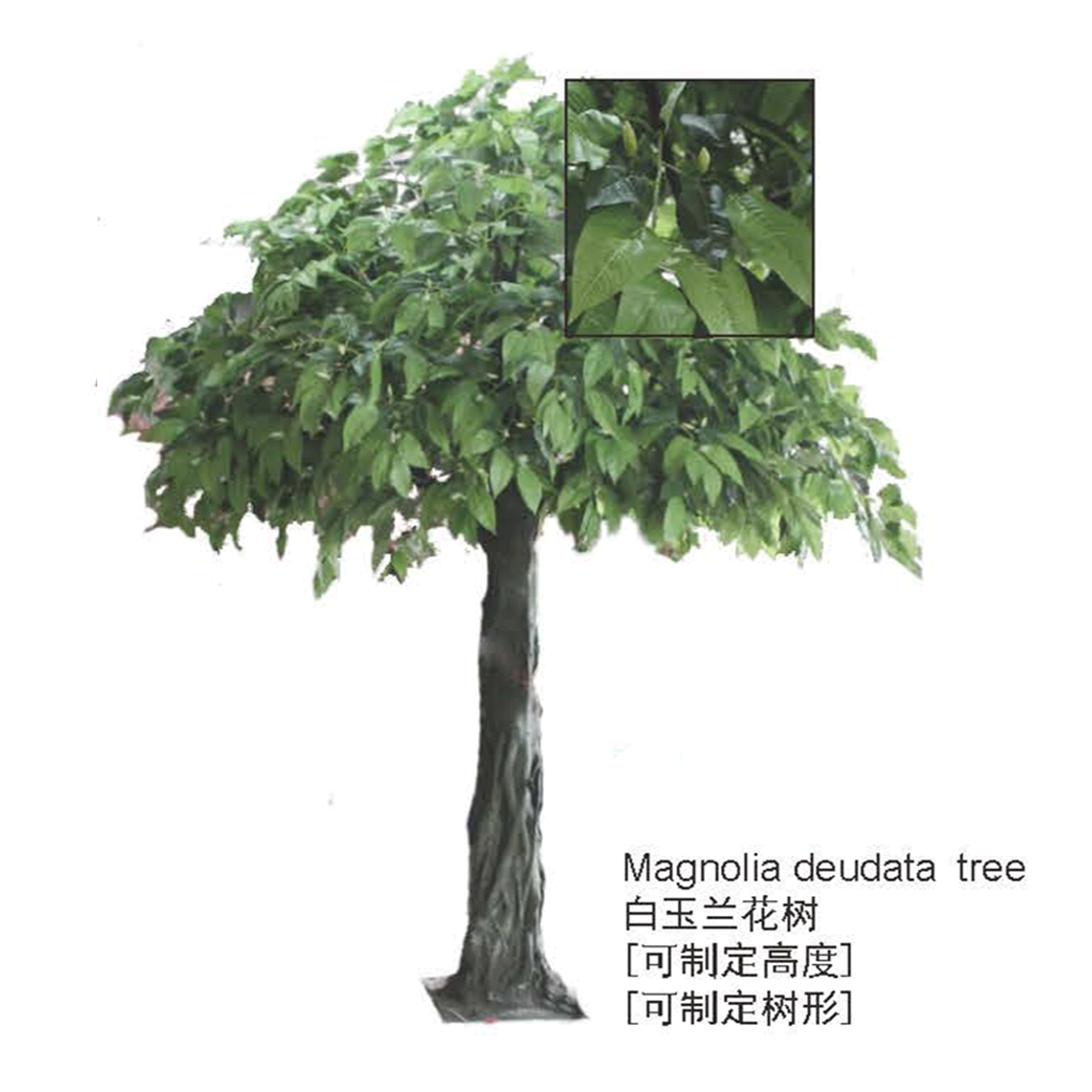 仿真绿植