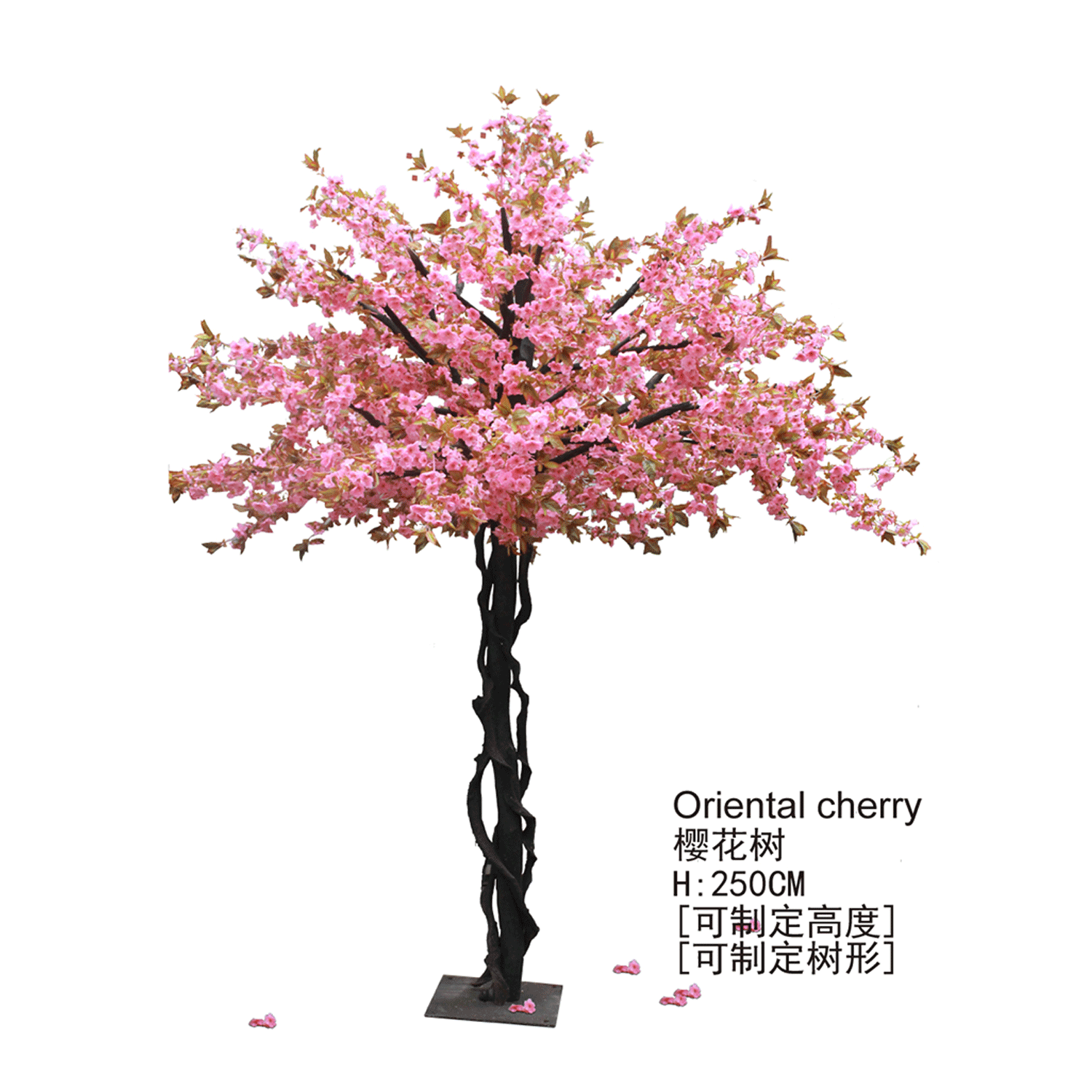樱花树2