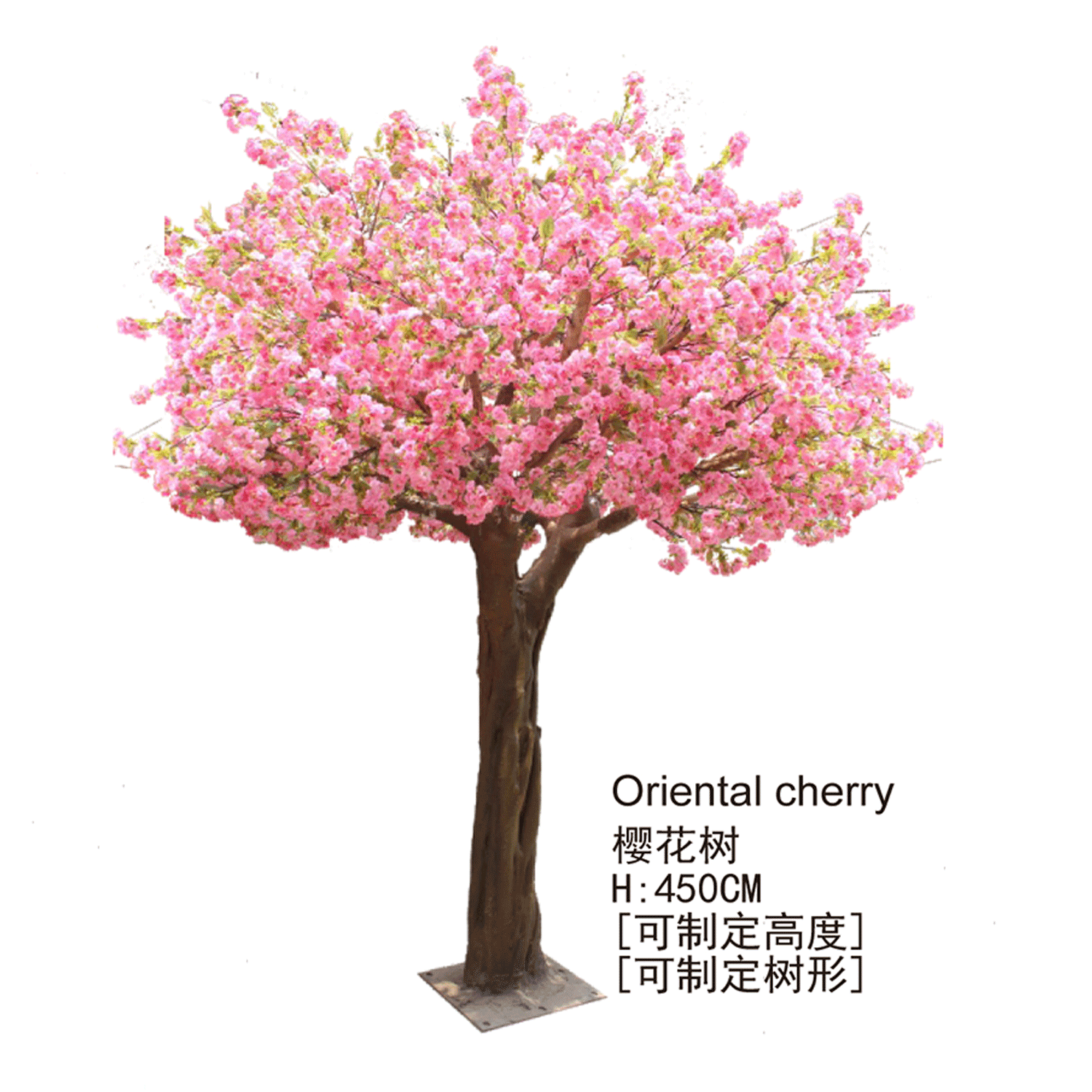 樱花树1