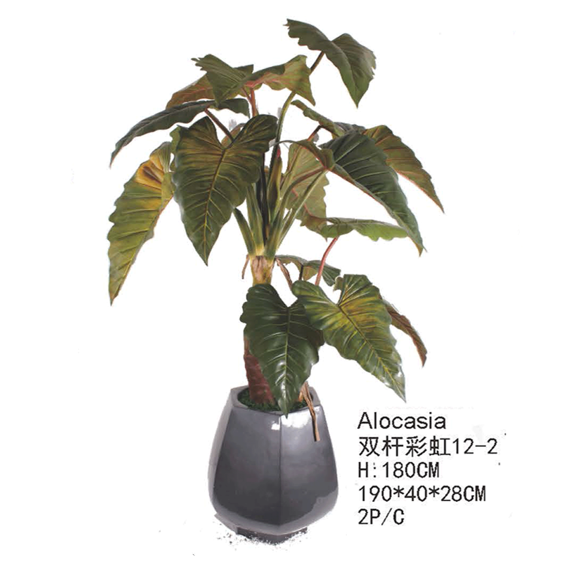 仿真绿植