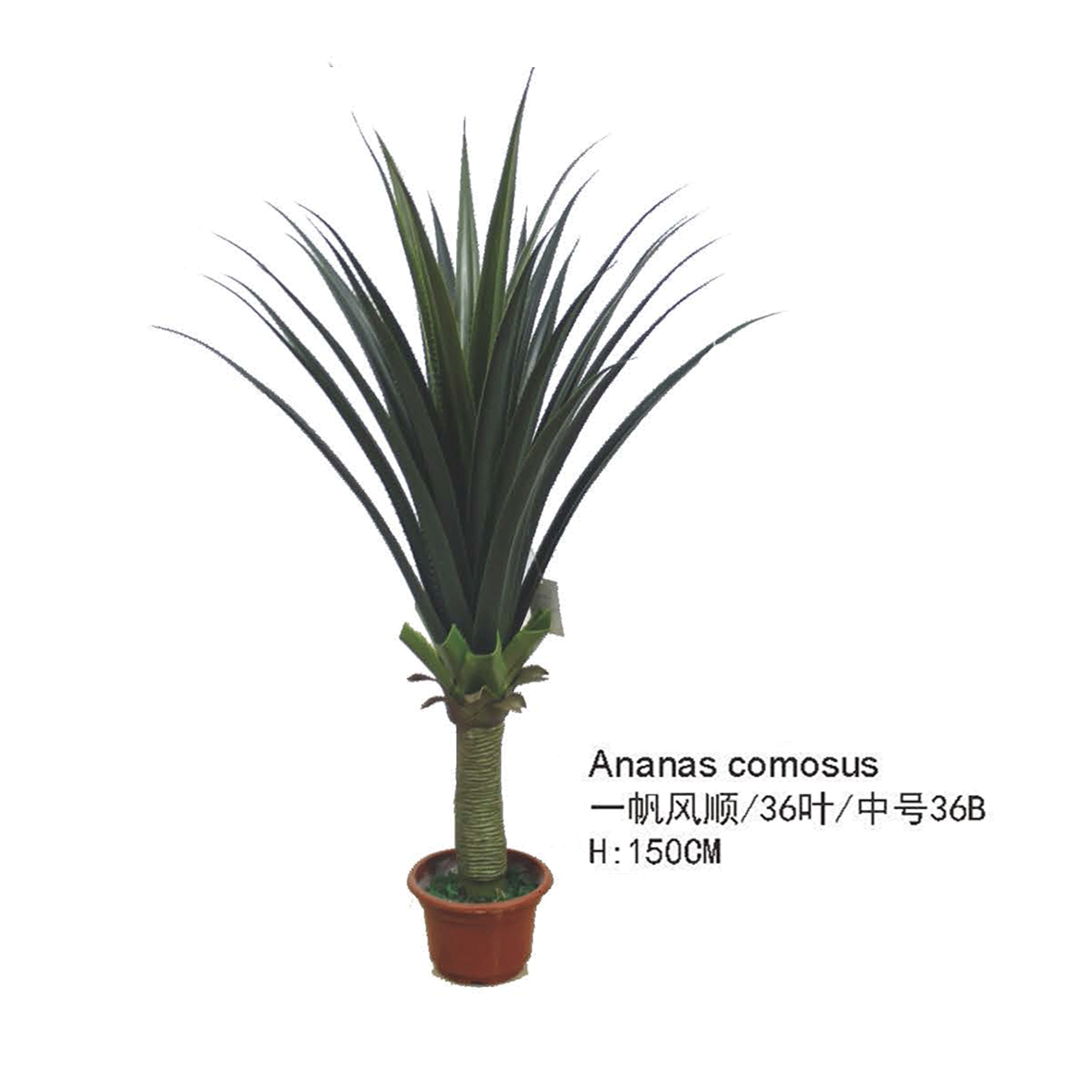 仿真多肉植物