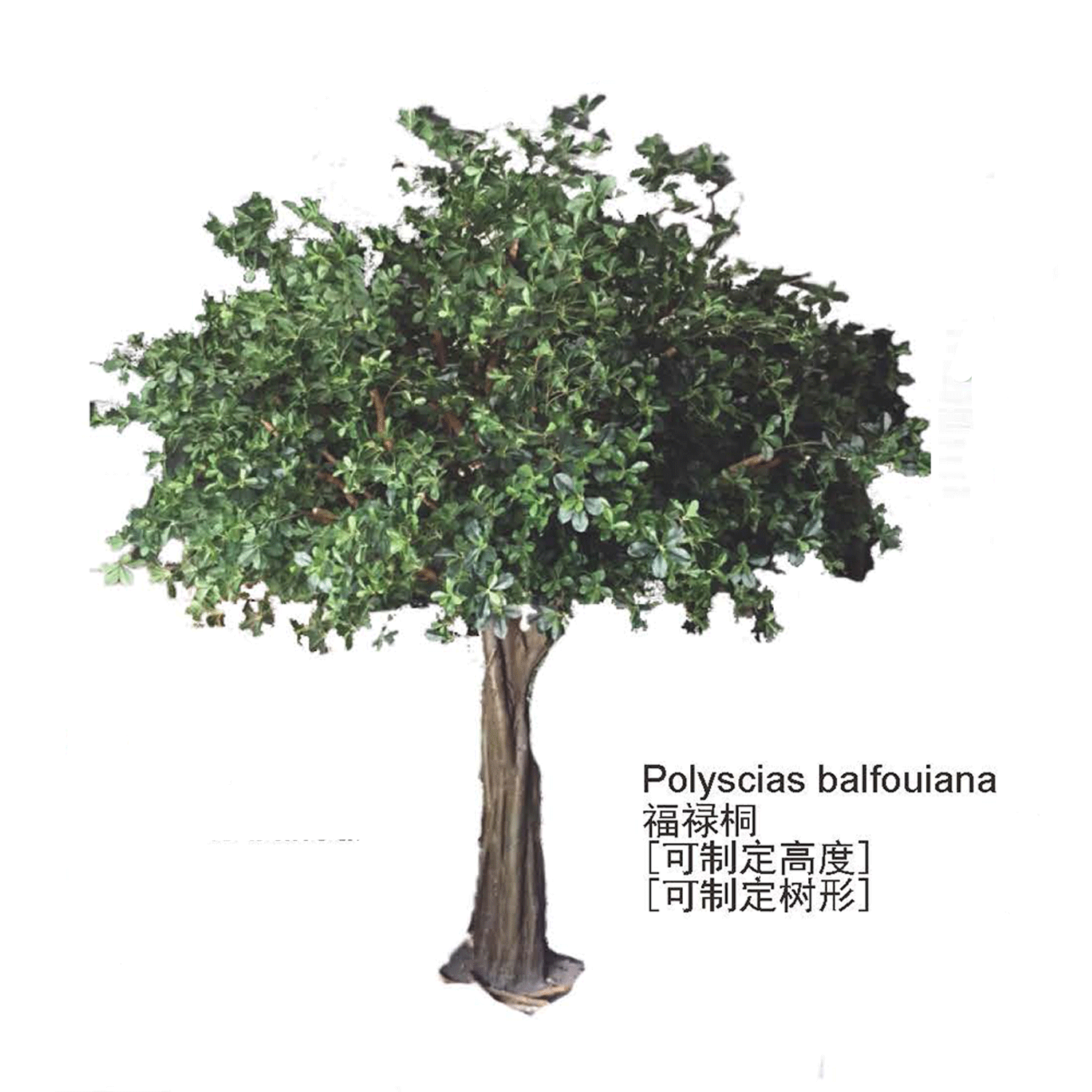 仿真景观树