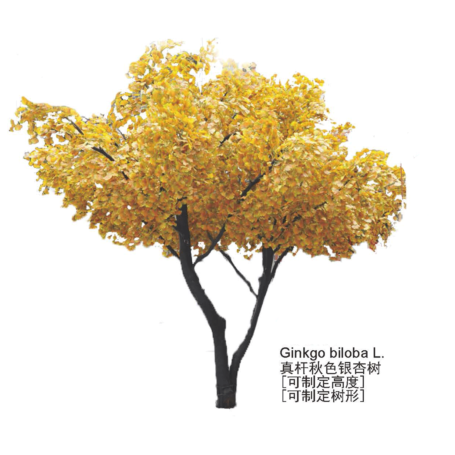 仿真景观树
