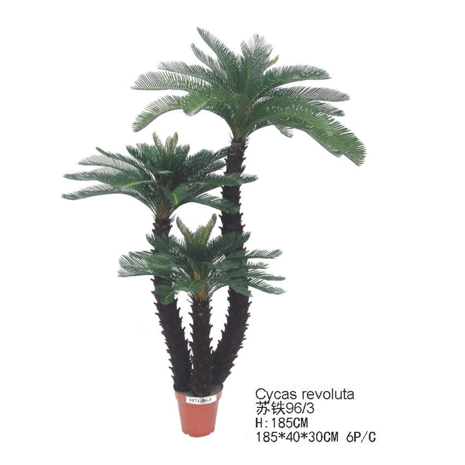 仿真蕨类植物