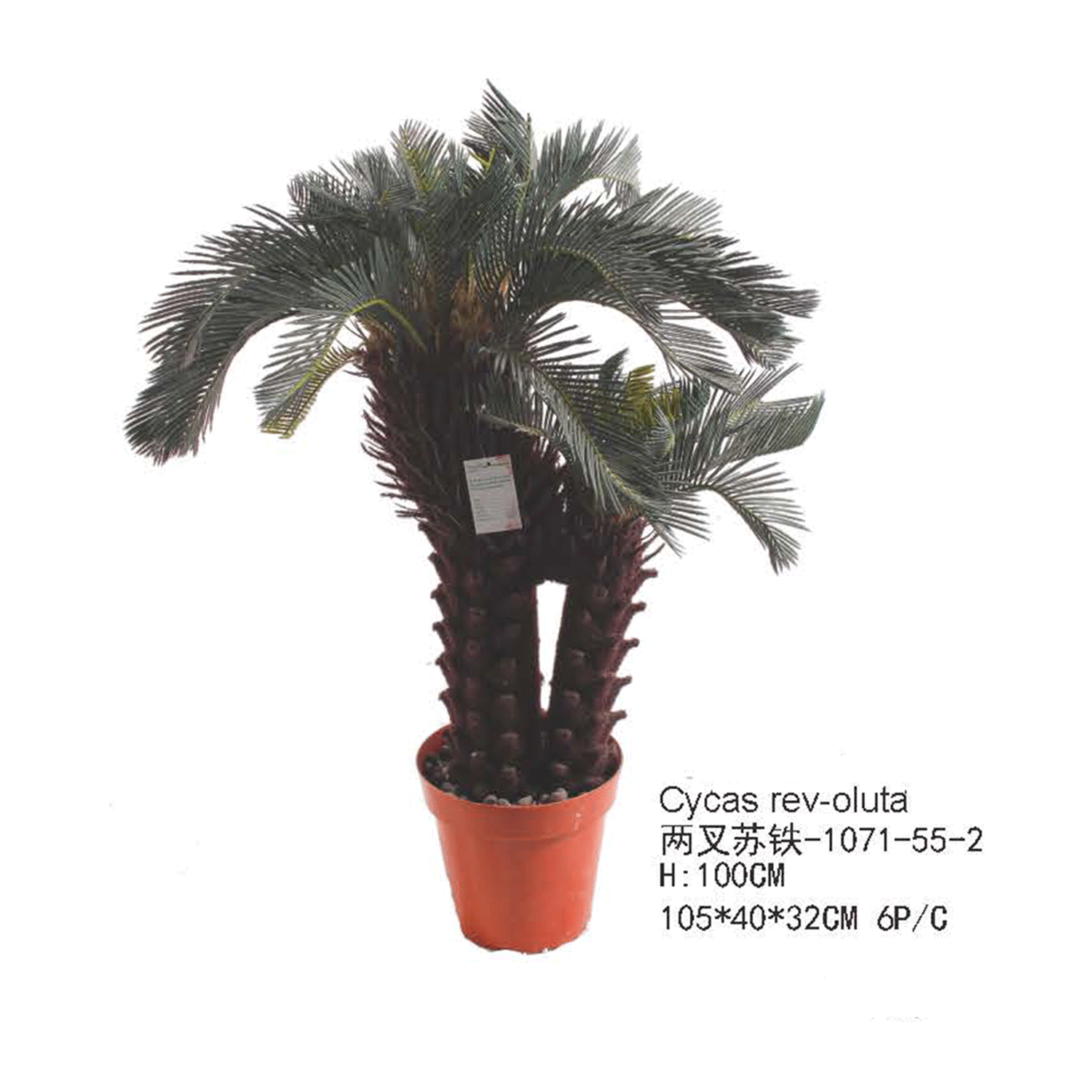 仿真蕨类植物