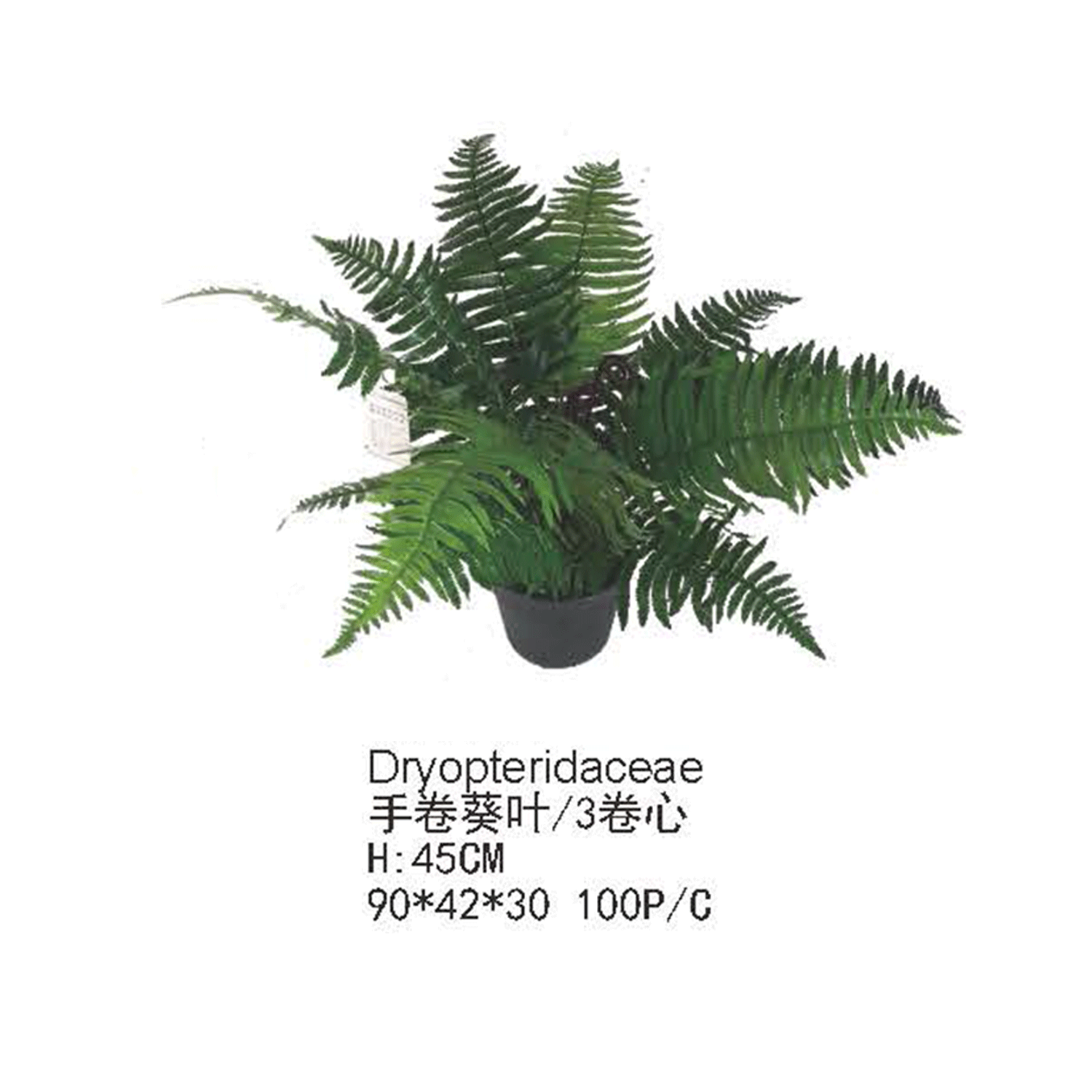 仿真蕨类植物