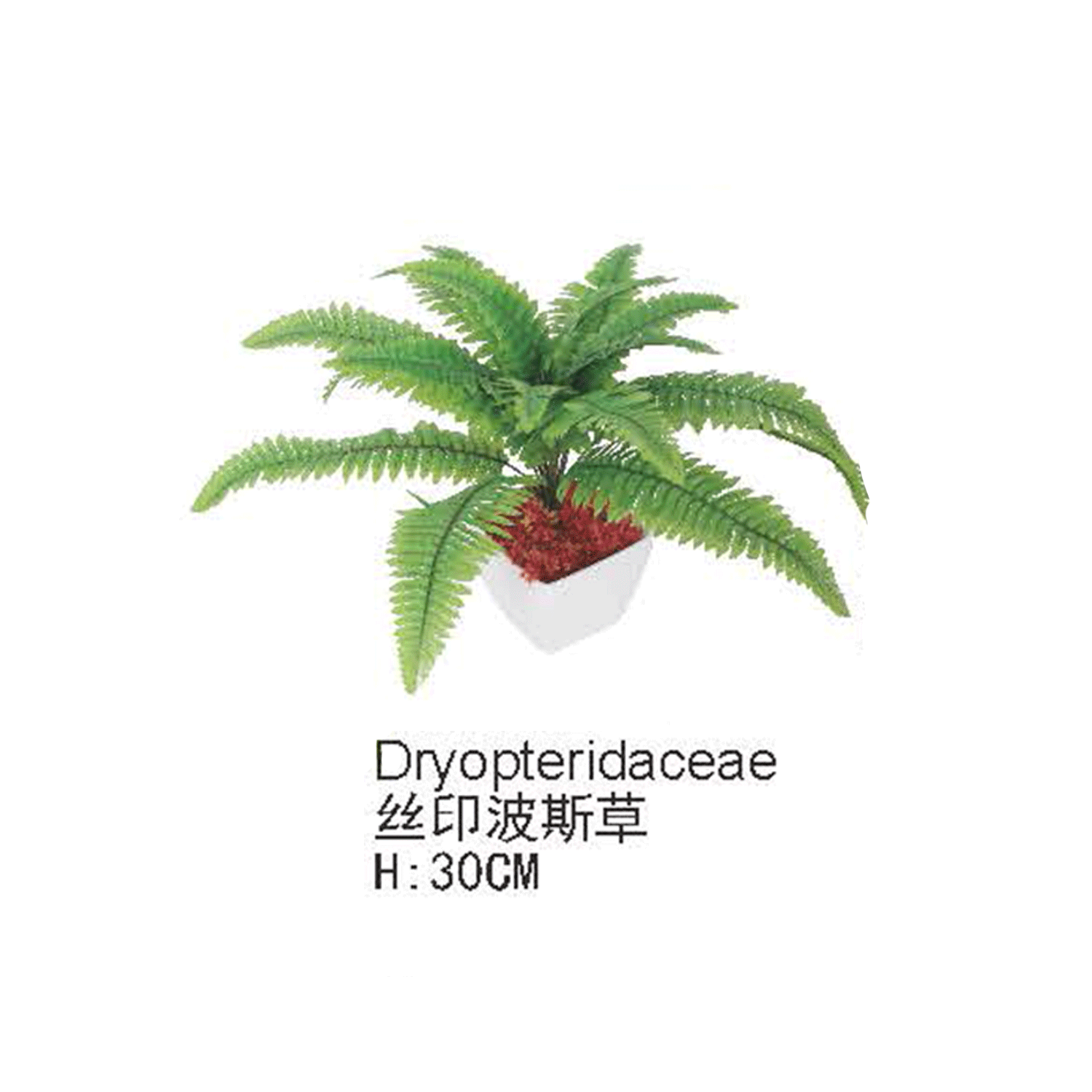 仿真蕨类植物